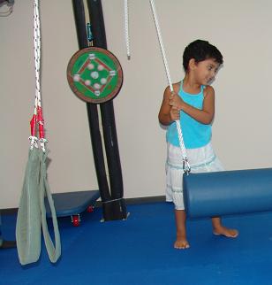 Sensory integration theory image